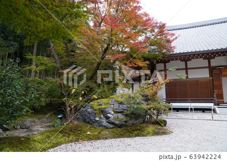 京都嵐山 紅葉 自然 京都嵐山 紅葉 自然 63942224