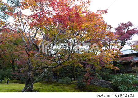 京都 嵐山 紅葉 京都 嵐山 紅葉 63942803