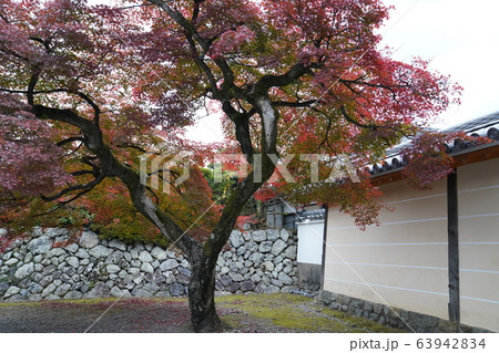 京都　嵐山　紅葉 63942834