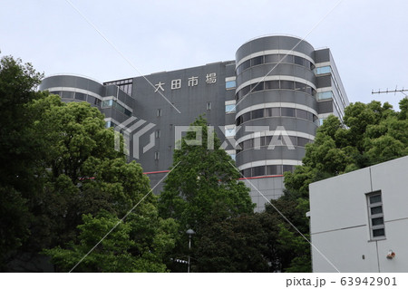 大田市場 大田市場 63942901