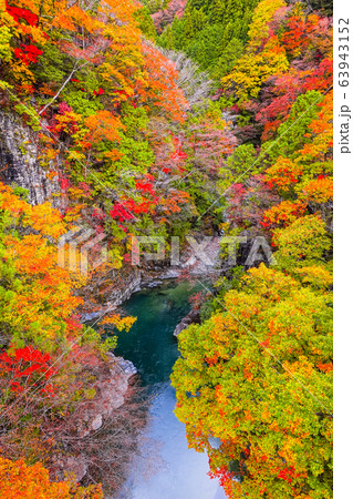 付知峡（秋） 63943152