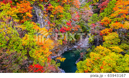 付知峡（秋） 63943167