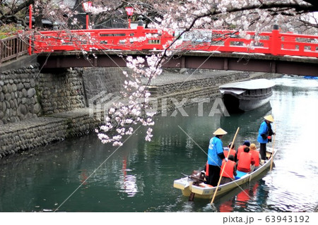 春の水門川・5(岐阜県大垣市) 春の水門川・5(岐阜県大垣市) 63943192