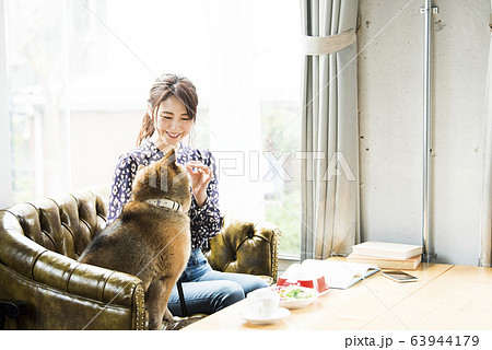 ドックカフェ 女性 犬 ドックカフェ 女性 犬 63944179