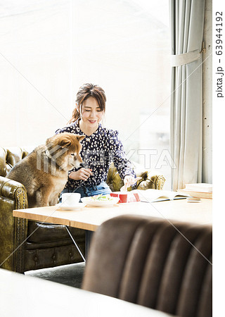 ドックカフェ　女性　犬 63944192