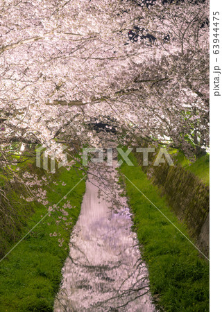 生名ロマン街道 63944475