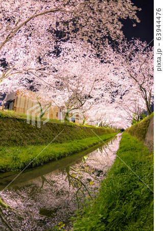 生名ロマン街道の夜桜 63944476