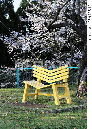国分城山公園 幸せの黄色いベンチ 国分城山公園 幸せの黄色いベンチ 63945319