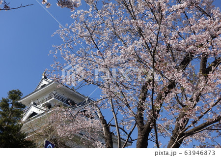 上山城と桜 上山城と桜 63946873