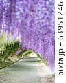 Wisteria Tunnel at Kawachi Fuji Garden  63951246