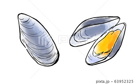 食べ物 イラスト 魚介類 ムール貝のイラスト素材