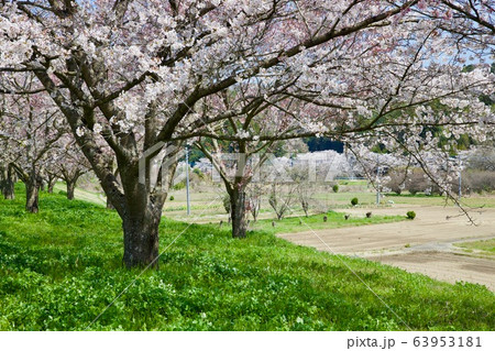 辰ノ口親水公園 茨城県常陸大宮市 辰ノ口親水公園 茨城県常陸大宮市 63953181