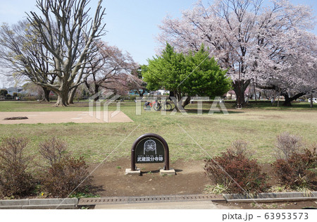 武蔵国分寺跡（東辺入口） 63953573