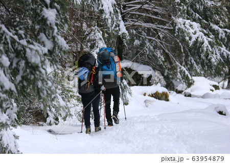雪の八ヶ岳赤岳鉱泉への道　北沢登山道 63954879