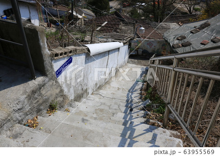 レンギョウ 春の花 木 63955569