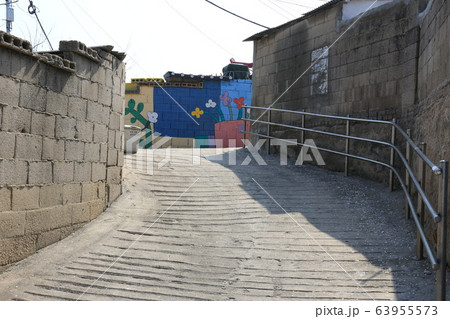 レンギョウ 春の花 木 63955573