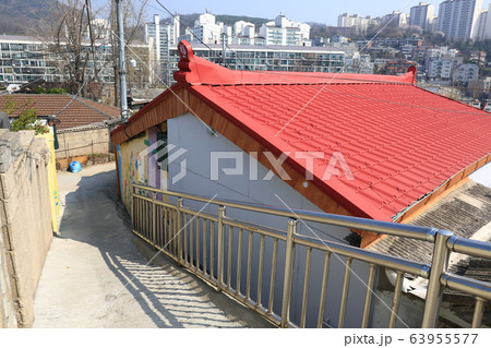 レンギョウ 春の花 木 63955577