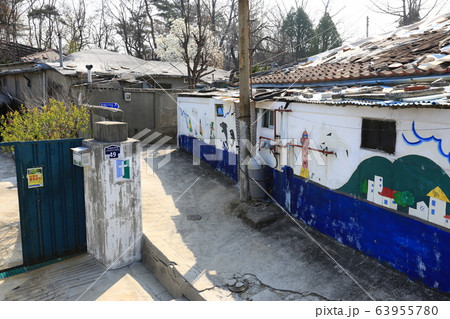 レンギョウ 路地 家 63955780