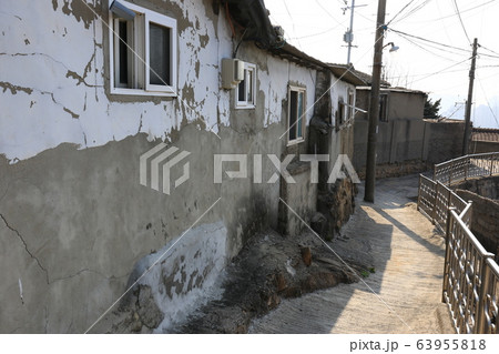 レンギョウ 路地 家 63955818