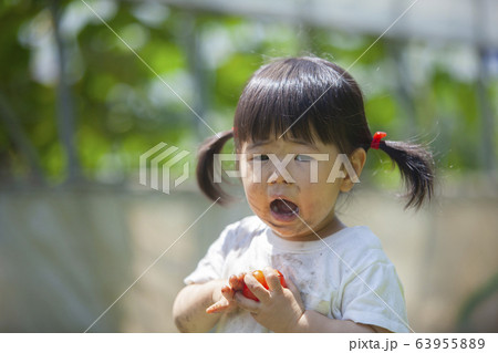 トマトを持つ幼児 63955889