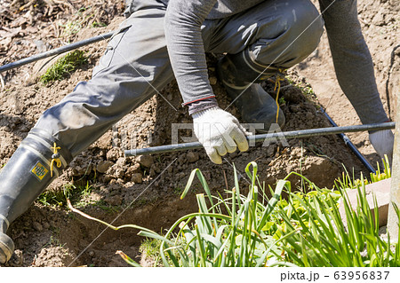 水道管の配管をする配管職人 水道管の配管をする配管職人 63956837