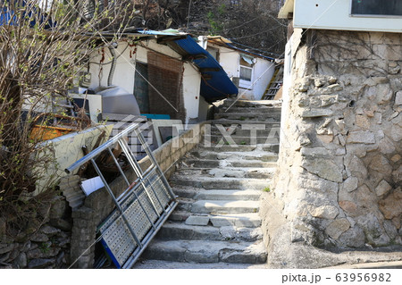 春の花 レンギョウ 再開発 63956982