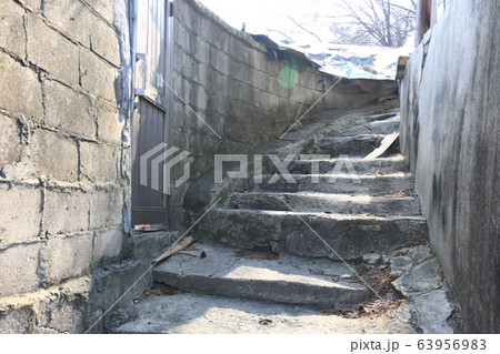 春の花 レンギョウ 再開発 63956983