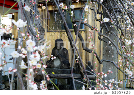 多宝山成願寺 山門 63957329
