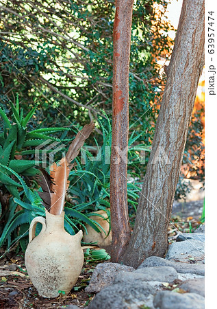 old pitcher standing in the garden old pitcher standing in the garden 63957474