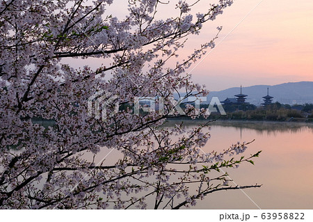 薬師寺と桜と朝日(奈良県奈良市) 薬師寺と桜と朝日(奈良県奈良市) 63958822
