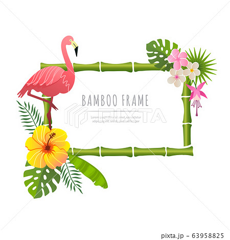 rectangle bamboo frame with flamingo vector illustration on a white background rectangle bamboo frame with flamingo vector illustration on a white background 63958825