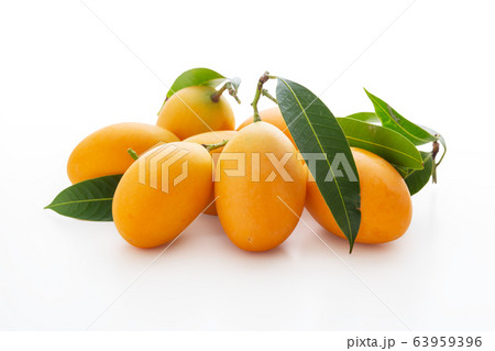 Marian plum 63959396