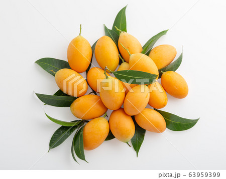Marian plum isolated on white background Marian plum isolated on white background 63959399