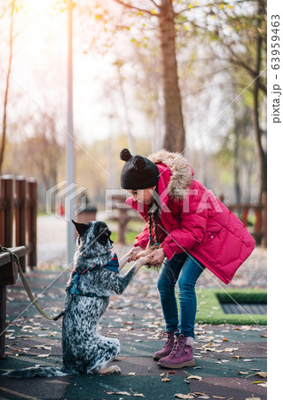 Girl child playing with dog in autumn sunny park, leaf fall 63959463
