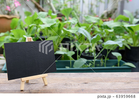 lBlank black board on wooden plank for lBlank black board on wooden plank for 63959668