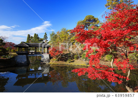 修学院離宮 63959857