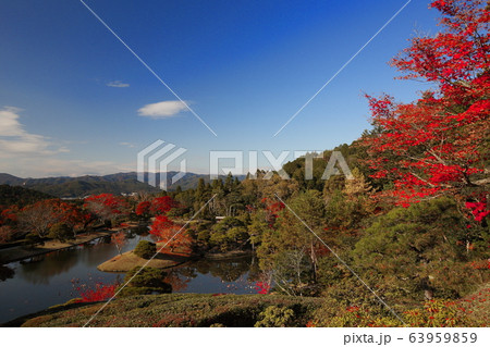 修学院離宮 63959859