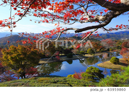 修学院離宮 63959860