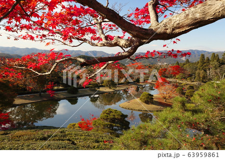 修学院離宮 63959861