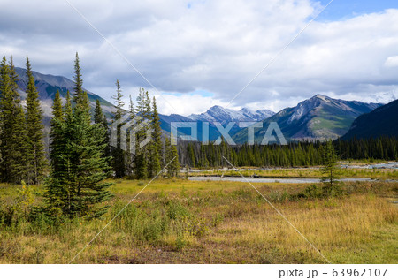 秋のカナディアンロッキー　黄葉のクートニー・バレー（クートニー国立公園　カナダ　BC州） 63962107