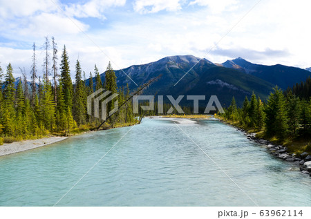 秋のカナディアンロッキー　 黄葉のクートニー・バレー（クートニー国立公園　カナダ　BC州） 63962114