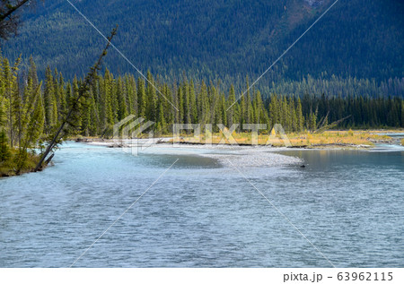 秋のカナディアンロッキー　 黄葉のクートニー・バレー（クートニー国立公園　カナダ　BC州） 63962115