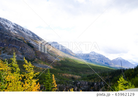 秋のカナディアンロッキー　 黄葉のクートニー・バレー（クートニー国立公園　カナダ　BC州） 63962129