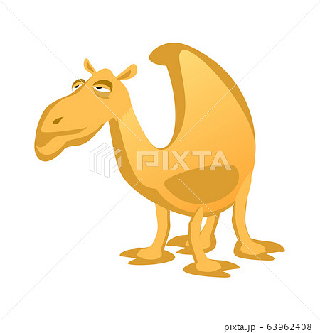 Cartoon camel isolated on a white background. 63962408