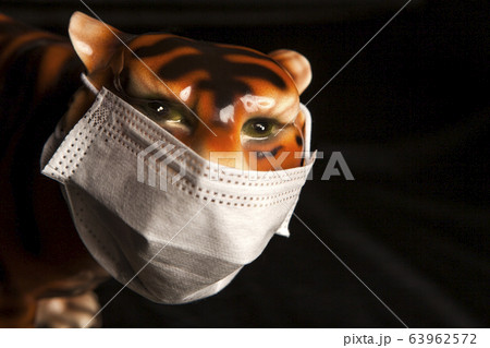 image of tiger mask dark background  63962572