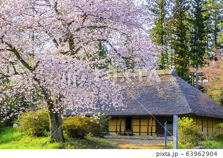 さくらと阿久沢家住宅 63962904