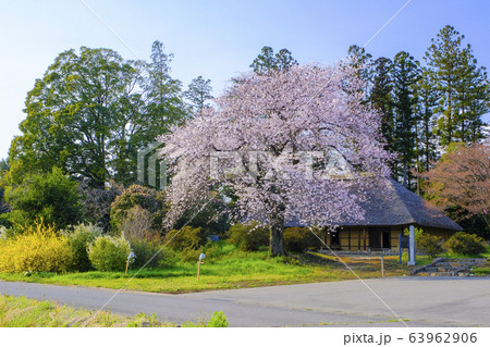 春の阿久沢家住宅 春の阿久沢家住宅 63962906