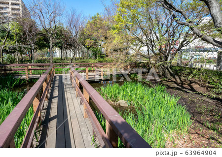 本郷給水所公苑 本郷給水所公苑 63964904