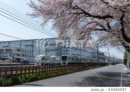 西武新宿線と桜　30000系（スマイルトレイン） 63966087