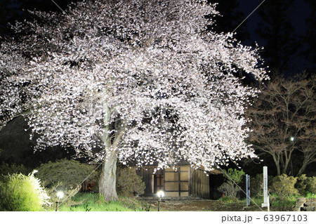 阿久沢家住宅（ライトアップ） 63967103